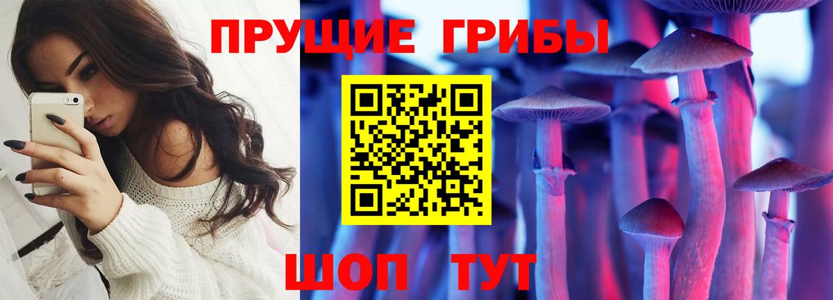 Галлюциногенные грибы Psilocybine cubensis Зеленогорск